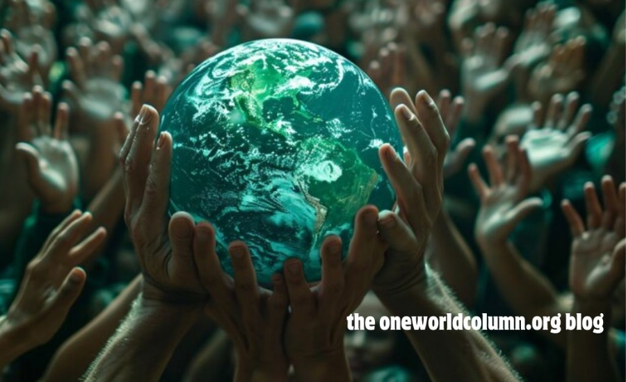 Key Areas of Focus On A oneworldcolumn.org blog