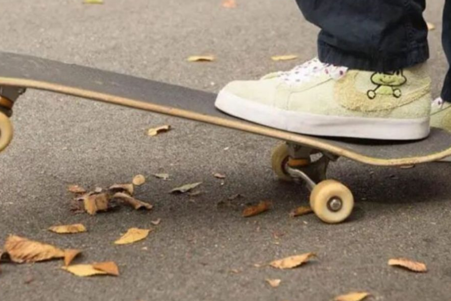 skateboard frog with a 40oz birdhouse