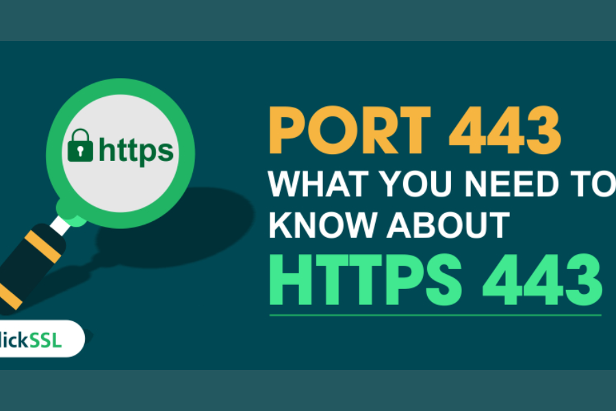 https port 443 resets before nic